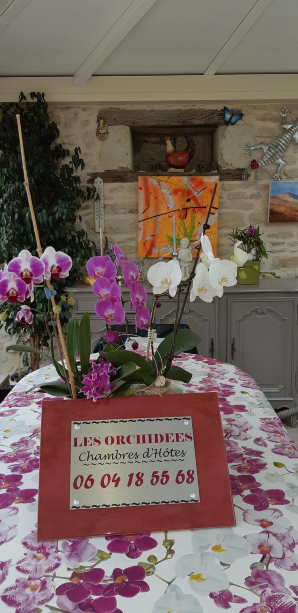 Les Orchidees Chambre Hotes Futuroscope Chasseneuil Poitiers Jaunay-Clan ภายนอก รูปภาพ